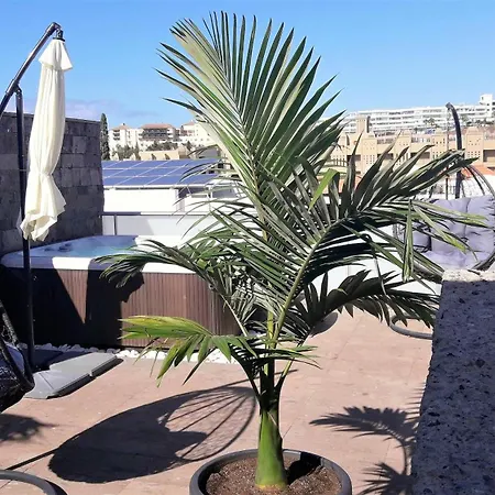 Luxury Bkm In Playa Del Duque アデヘ