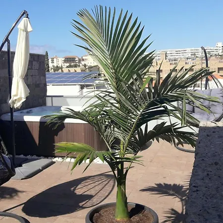 Luxury Bkm In Playa Del Duque * アデヘ