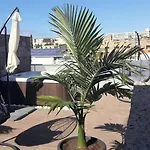 Luxury Bkm In Playa Del Duque * Costa Adeje (Tenerife)